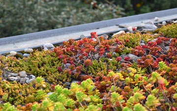 the cost of Kidsgrove green roof installation