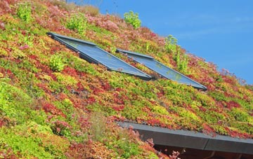 Kidsgrove living roof systems